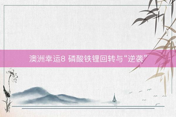 澳洲幸运8 磷酸铁锂回转与“逆袭”