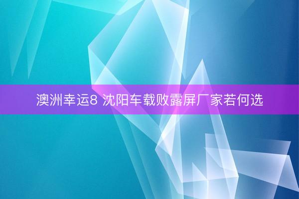 澳洲幸运8 沈阳车载败露屏厂家若何选